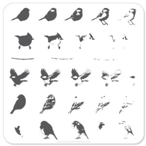 Itty Bitty Birds (CjS-30) - Steel Stamping Plate