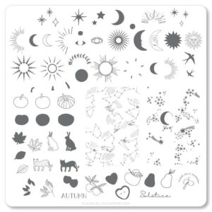 clear jelly stamping plate medium autumn maniqo zwolle webshop