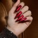 The GelBottle winter 2021 members only gelpolish Exclusive Acces maniqo zwolle groothandel webshop