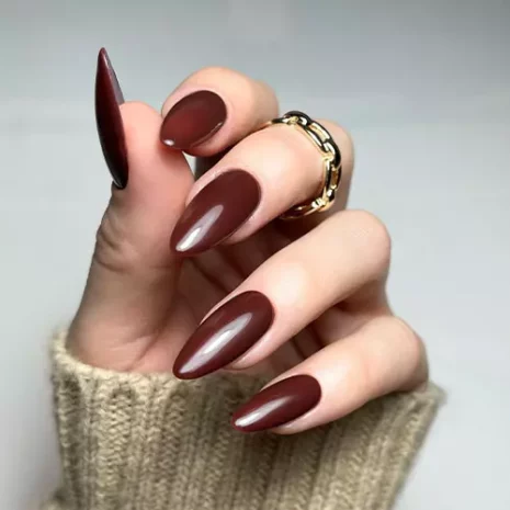 Chestnut-Colour-Gel-Polish-4