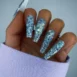 Poseidon-Multi-Glitz-Nail-Glitter-swawtch