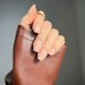 Biscuit-Hard-Gel-