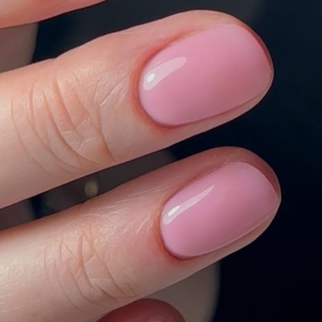 PRIMROSE HILL BY LISA POWER